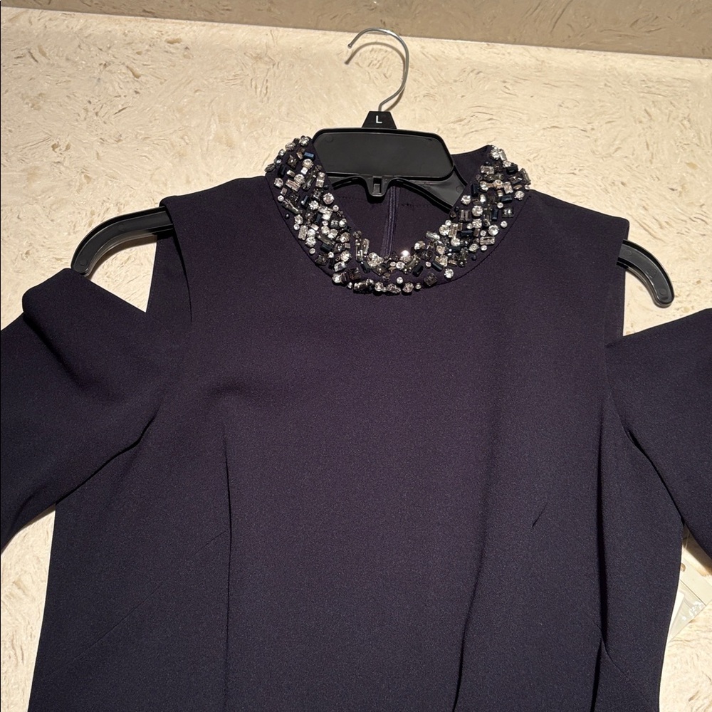 Eliza J BlackLong Sleeve Dress with Embellished Collar